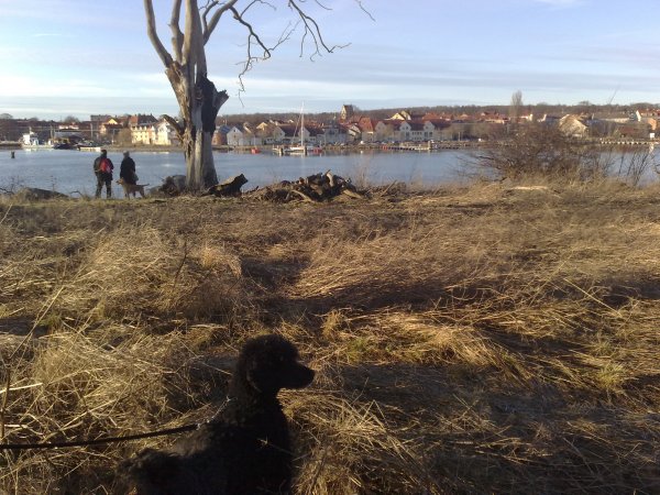 På spåret 131018.jpg