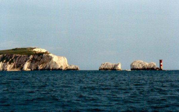 the needles.jpg