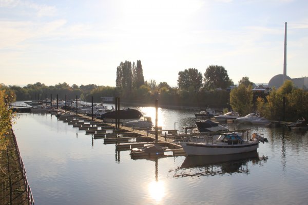 IMG_6998.jpg IMG_6998.jpg