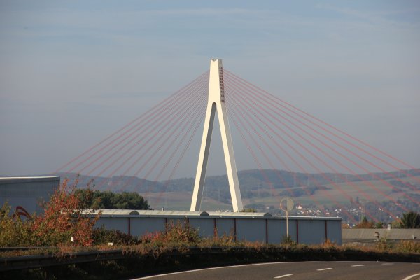 IMG_7003.jpg IMG_7003.jpg