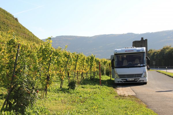 IMG_7031.jpg IMG_7031.jpg