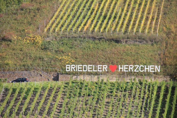 IMG_7039.jpg IMG_7039.jpg