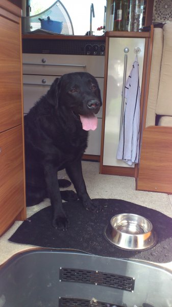 2013-10-21 16.39.59.jpg 2013-10-21 16.39.59.jpg