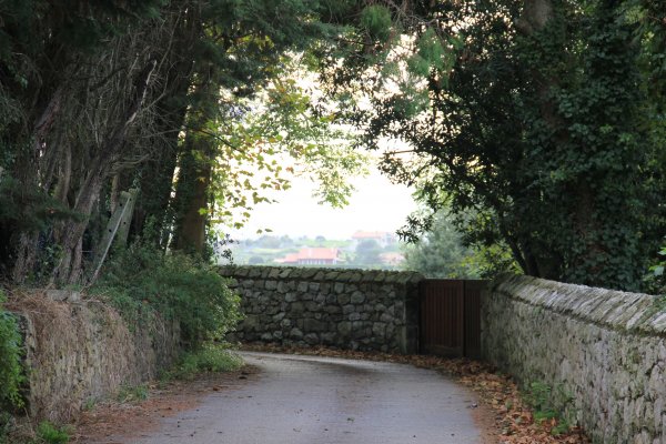 IMG_7083.jpg IMG_7083.jpg