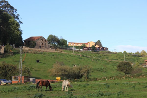 IMG_7092.jpg IMG_7092.jpg