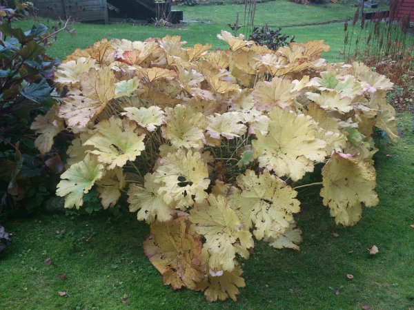 2013-10-13 10.03.05.jpg