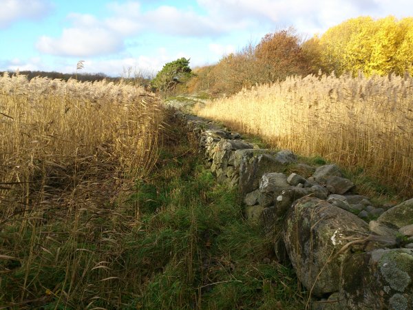 2013-10-30 09.55.21.jpg