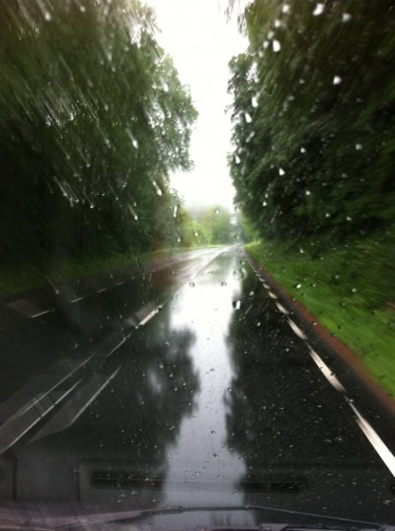 Regn norr gränna.jpg