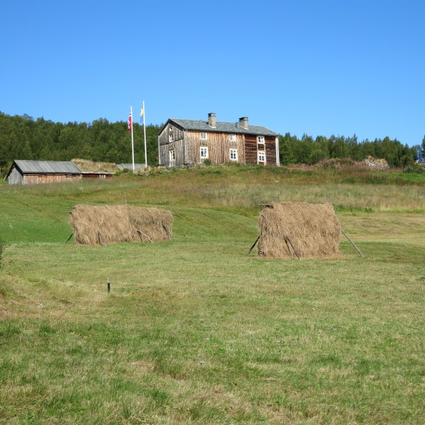 IMG_0799.JPG