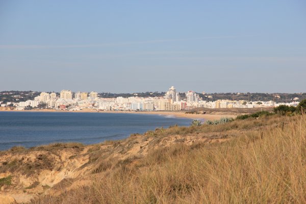 IMG_7152.jpg IMG_7152.jpg