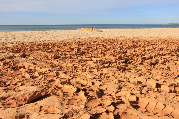 IMG_7153.jpg IMG_7153.jpg