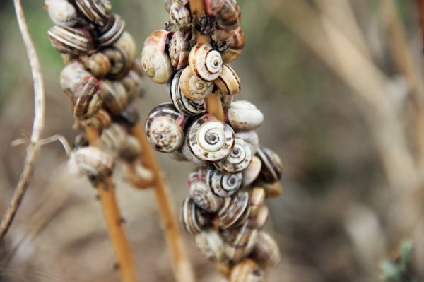 IMG_7196.jpg IMG_7196.jpg