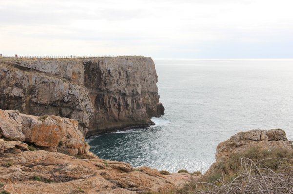 IMG_7201.jpg IMG_7201.jpg