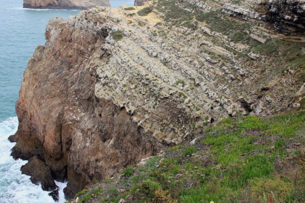 IMG_7228.jpg IMG_7228.jpg