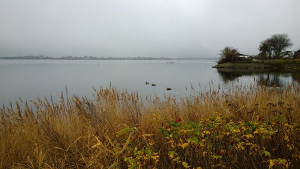 WP_20131107_10_44_59_Pro.jpg WP_20131107_10_44_59_Pro.jpg