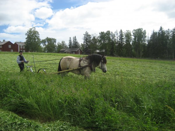 semester_2008 003.jpg