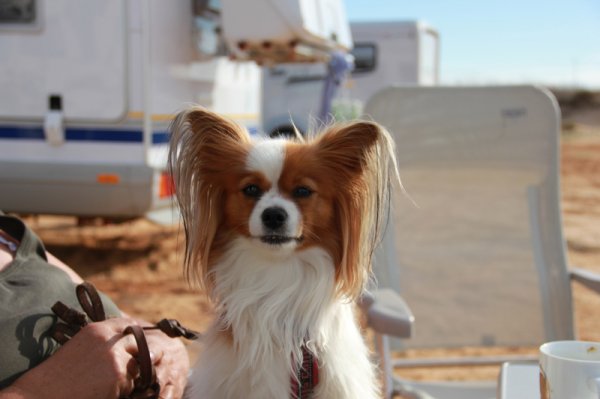 Lilla My.jpg Lilla My.jpg