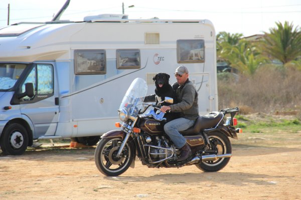 mchund.jpg mchund.jpg