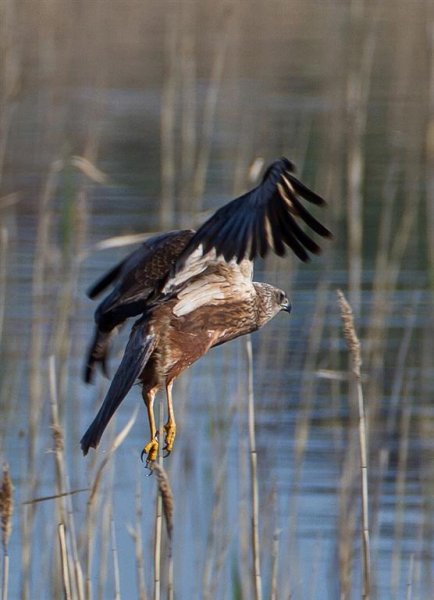 Gåta 5, art, 3p (Large).jpg