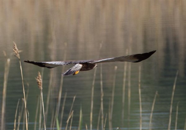 Gåta 5, facit (Large).jpg