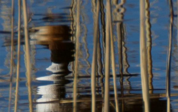 Gåta 14, spegelbild, art,  1p (Small).jpg