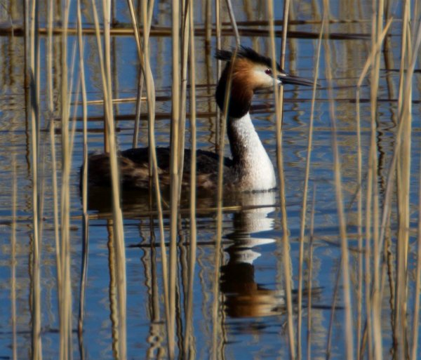 Gåta 14, facit (Large).jpg