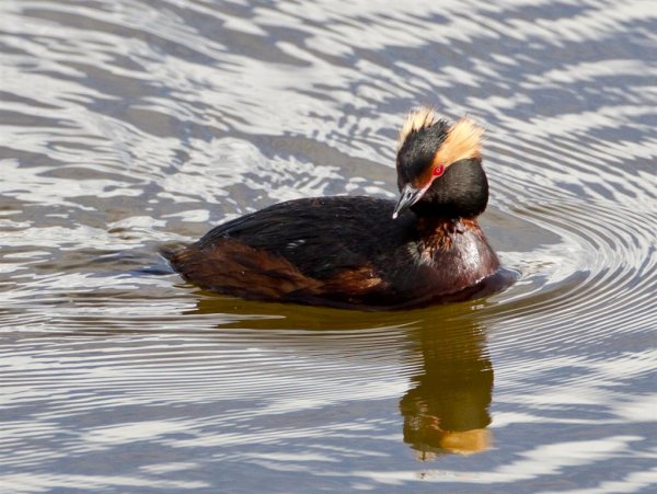 Gåta 20, facit (Large).jpg