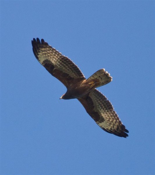 Gåta 24, bild 3.jpg