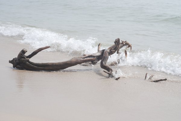 bild 030 - Kopia.jpg