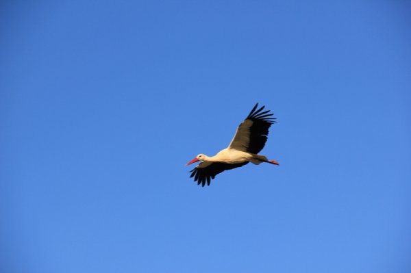 Inflygning1.jpg Inflygning1.jpg