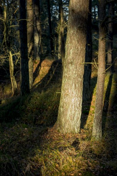 20131124-019.jpg 20131124-019.jpg