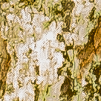 20131124-019 del.jpg 20131124-019 del.jpg