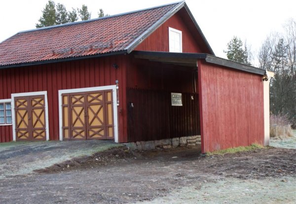 IMG_4568 (Large).jpg