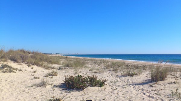 Morgon Manta Rota.jpg