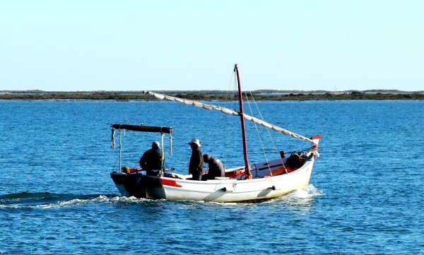 3 fiskebåt.jpg