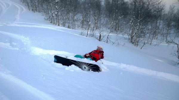 WP_20131206_14_18_24_Pro.jpg WP_20131206_14_18_24_Pro.jpg