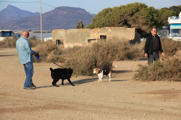 2013-12-12 Morgonmöte.jpg