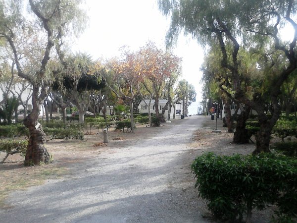 2013-12-13 14.48.03.jpg