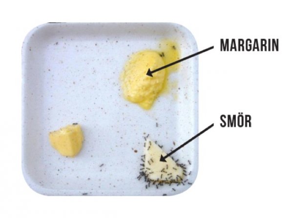 Lch Blogg.jpg Lch Blogg.jpg