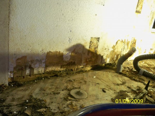 Murken regei i nederkant.jpg Murken regei i nederkant.jpg