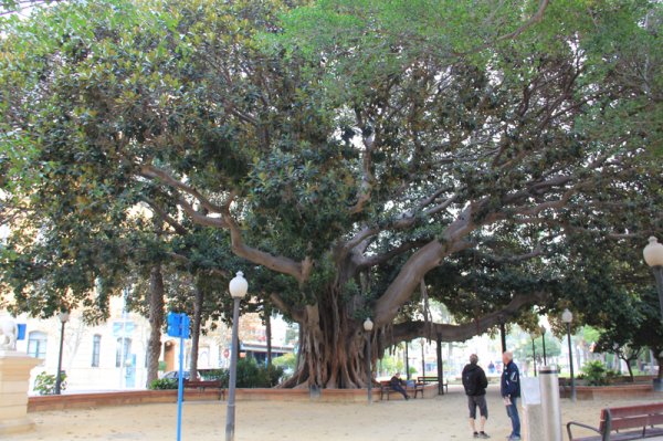 131219 park i Alicante.jpg