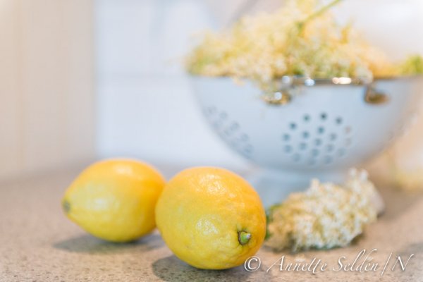 130630.014.jpg 130630.014.jpg