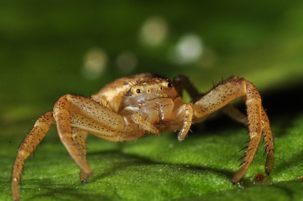 DSC_2605bbb800.jpg DSC_2605bbb800.jpg