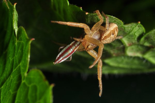 DSC_2466b800.jpg DSC_2466b800.jpg