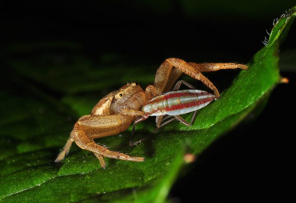 DSC_2468b800.jpg DSC_2468b800.jpg