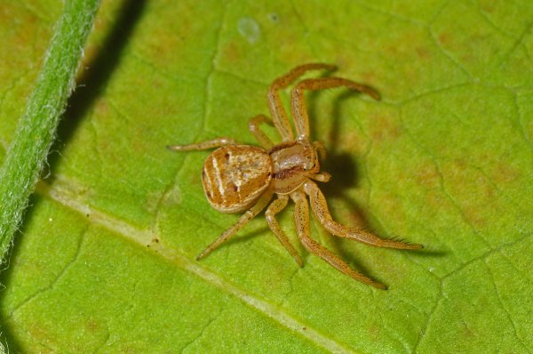 DSC_2636b800.jpg DSC_2636b800.jpg