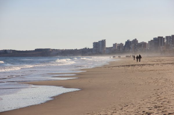 131222 Mot Alicante.jpg