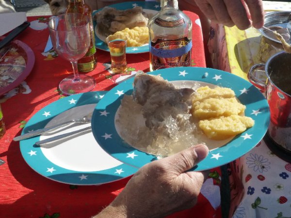 P1000229(1).JPG P1000229(1).JPG