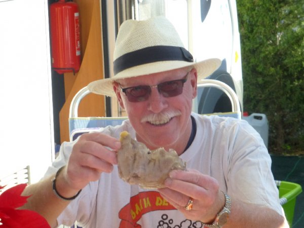 P1000231(1).JPG P1000231(1).JPG