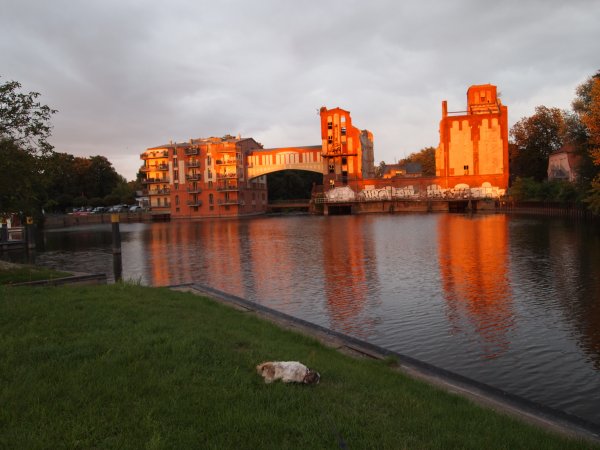 P8292603.JPG P8292603.JPG